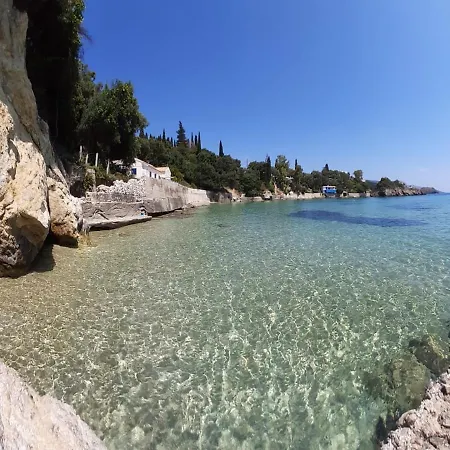 Aliki *